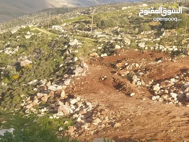 ارض للبيع في كفرنعمه مساحه 2دونم