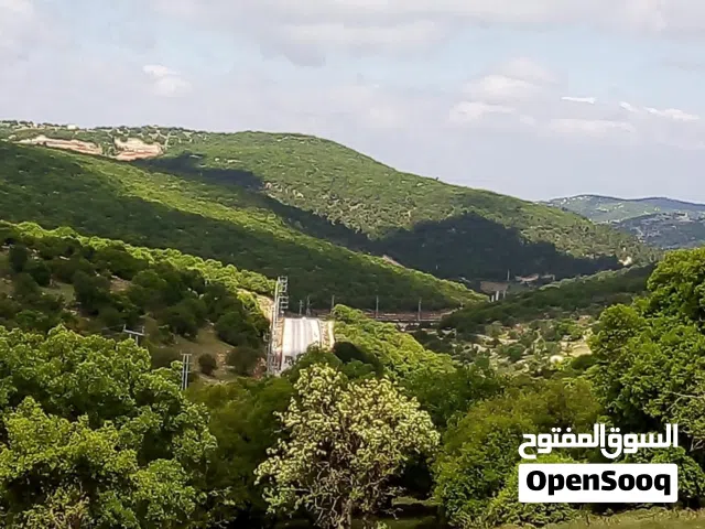 Farm Land for Sale in Ajloun E'in Jana