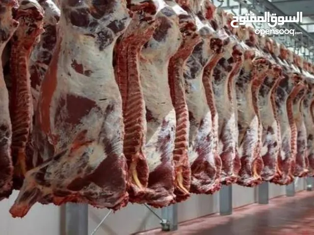 جزار لحام ذبح متنقل داخل الزرقاء وعمان