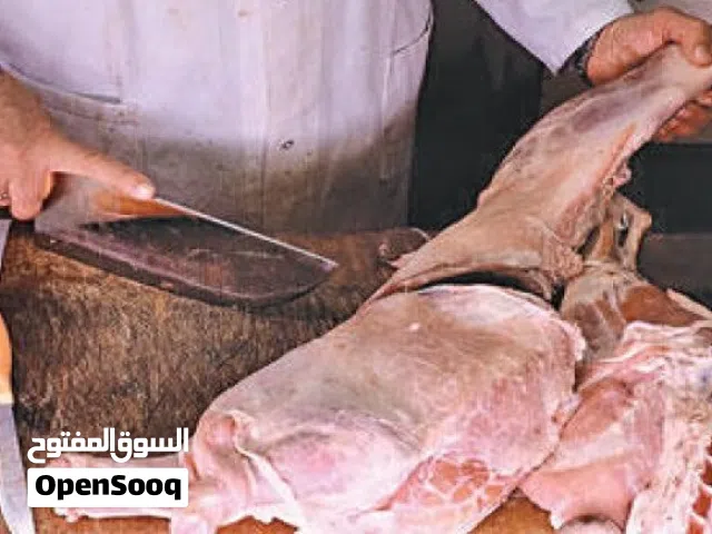 قصاب مصري جزار خدمه منزليه 24 ساعه متواصله للمناسبات والافراح