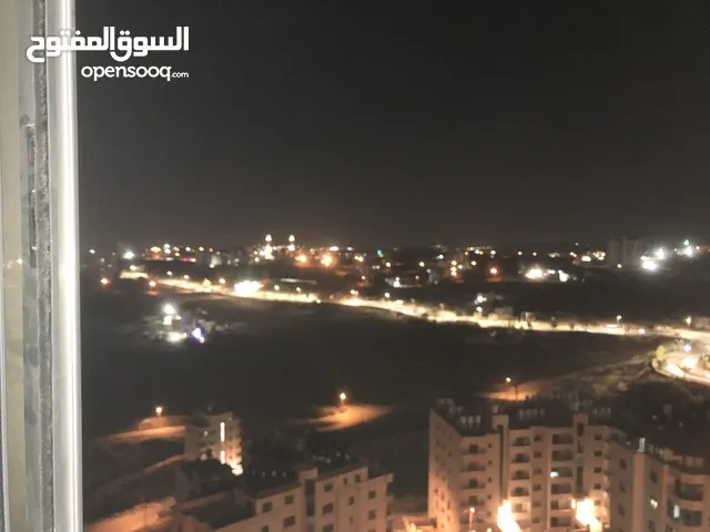 ستيدبو مفروش للايجار رووف