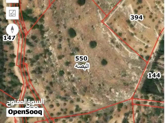 Mixed Use Land for Sale in Amman Abu Al-Nair