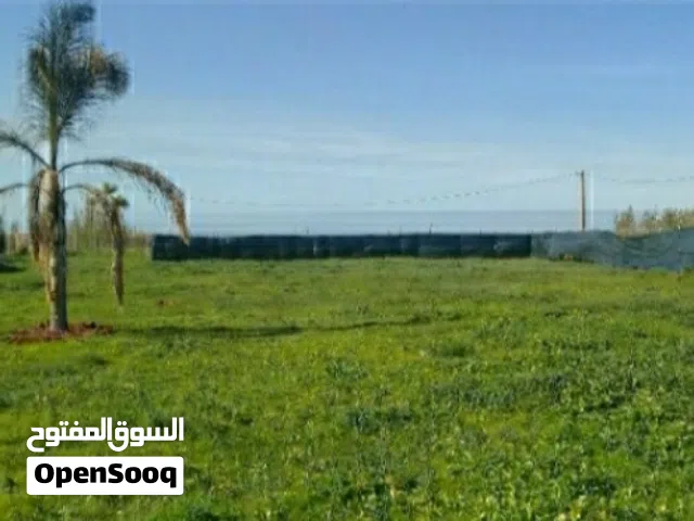 A vendre, terrain agricole,  2500 m à Skhirat,