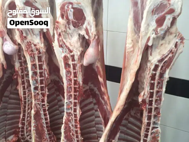 لحام جزار داخل اربد وقراها