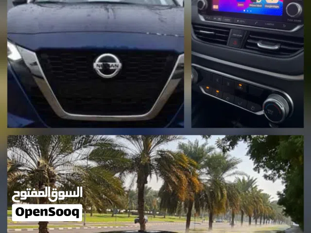 نيسان التيما 2019