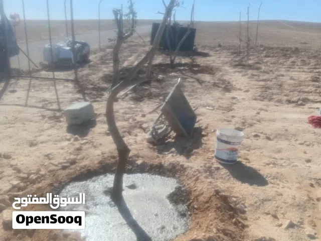 مزرعة للبيع