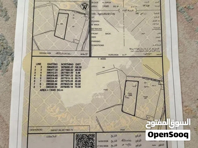Farm Land for Sale in Buraimi Mahdah