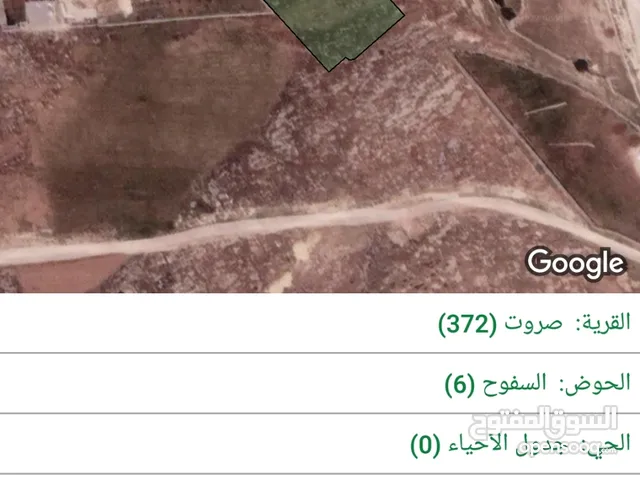 Farm Land for Sale in Zarqa Sarout