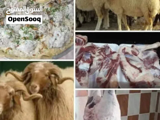 نبدا بصلاة على النبي عروض
