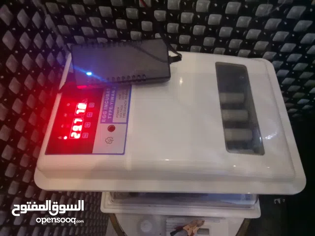 فقاسة 26 بيضة