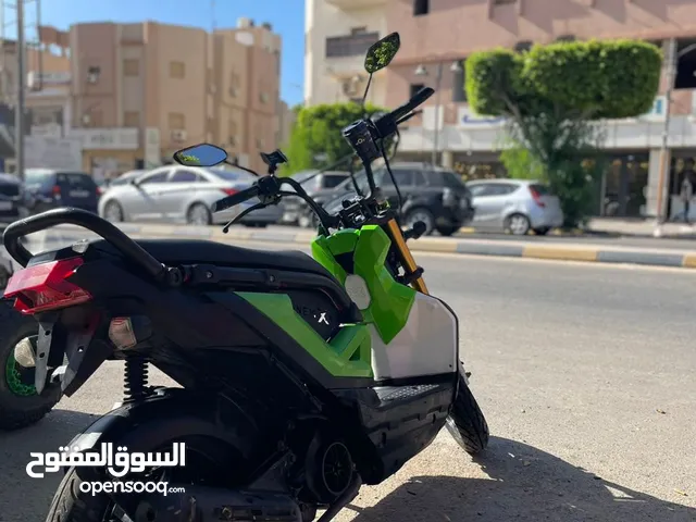 هوند زومركس 2019