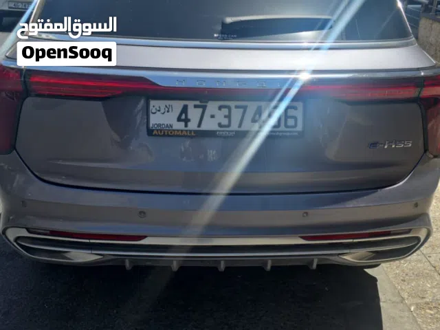 2021 هونج تشي E-HS9