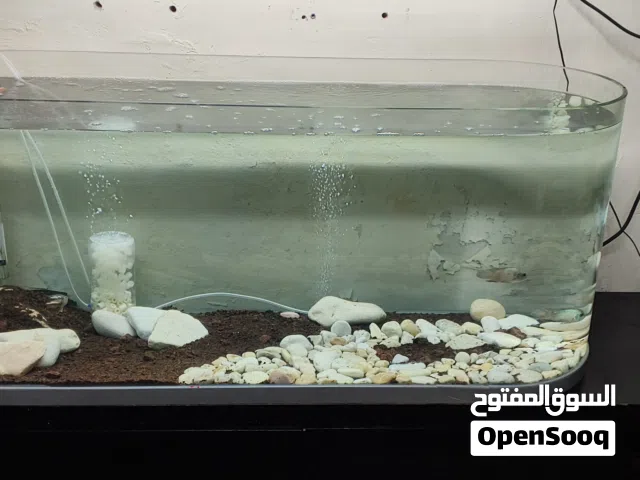 حوض سمك أجنبي شكل الرصاصه حجم 120سم  بأرتفاع 60 سم يعرض 45