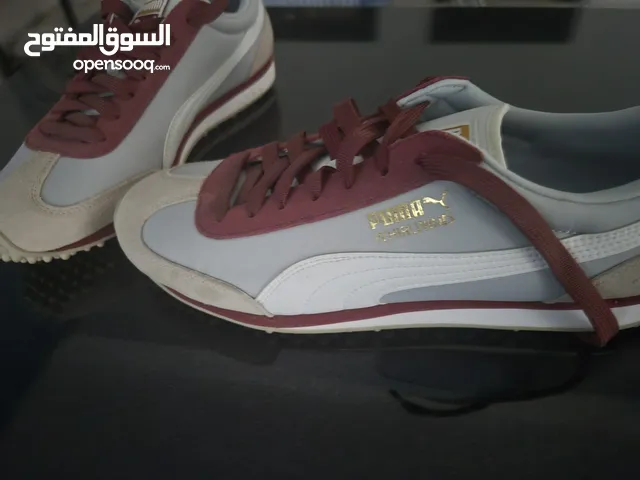 44 Sport Shoes in Amman