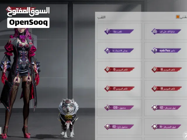 Pubg Accounts and Characters for Sale in Zarqa