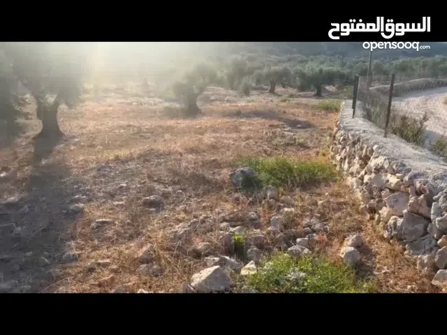 ارض تصنيف b موقع ممتاز واصل زفته كهربا مي جميع الخدمات