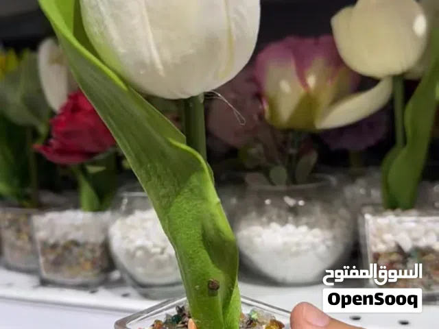 يوجد لدينا للايجار موقع تجاري درجه اولى بينه وبين شارع حده الرئيسي بيت فقط قريب من جوله الرويشان