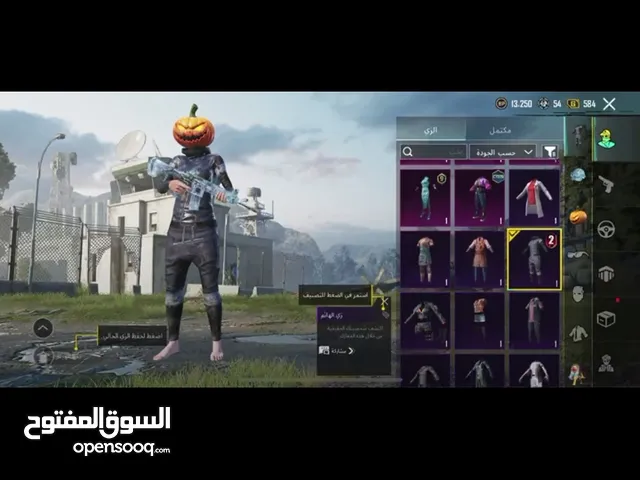 Pubg Accounts and Characters for Sale in Amman