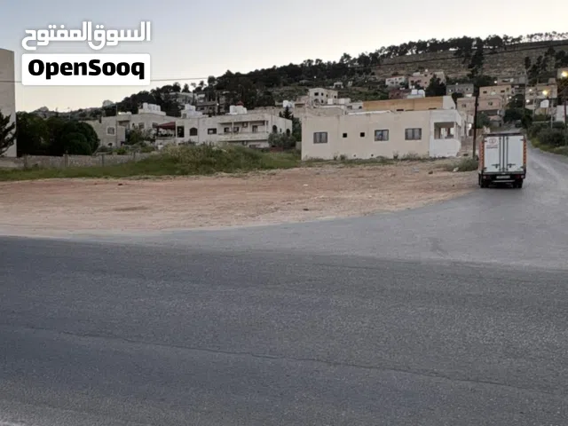 أرض للبيع - عين الباشا / خرشا