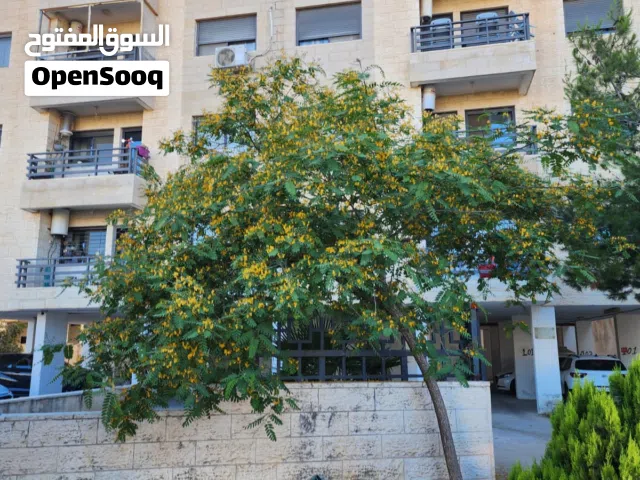 91 m2 2 Bedrooms Apartments for Rent in Ramallah and Al-Bireh Dahiat Al Rayhan