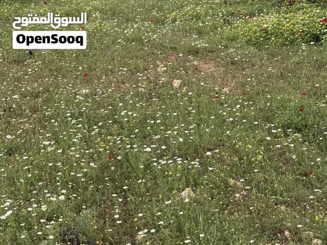 Commercial Land for Sale in Idlib Ma'aret ِl-Nu`man