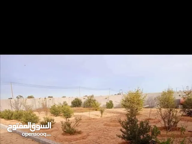 Studio Farms for Sale in Misrata AlSakt