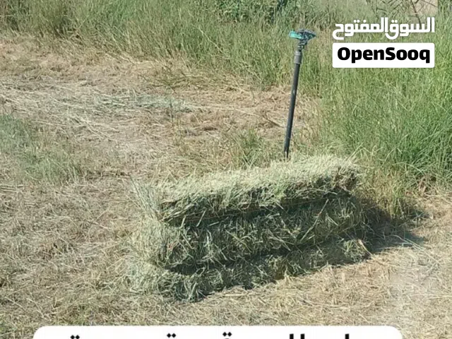تتوفر لدينا برايد انتاج المزرعة جديد