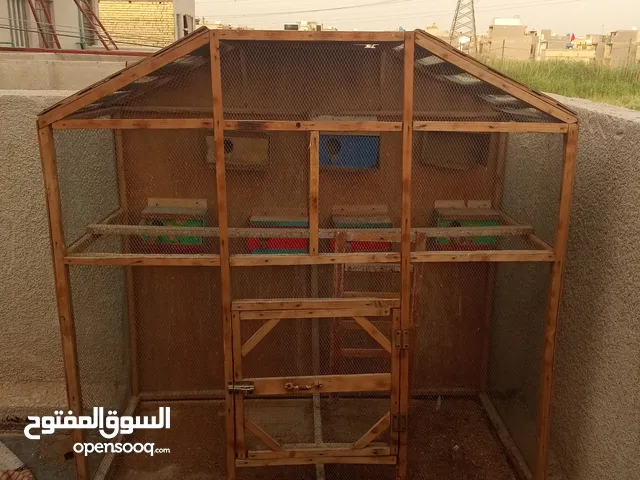 قفص للبيع مال طيور الحب