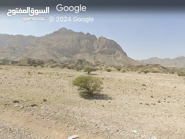 Residential Land for Sale in Muscat Amerat