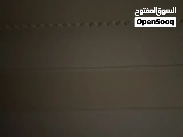 عصفور كناري شرط التغريد والصحة