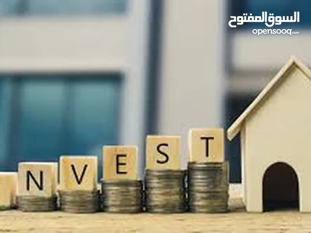 Investor Looking for a Profitable Project to Invest In