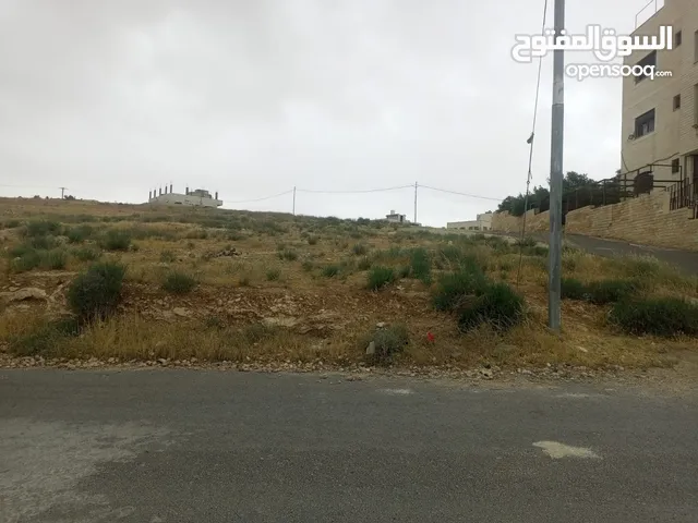 Residential Land for Sale in Amman Al-Baida