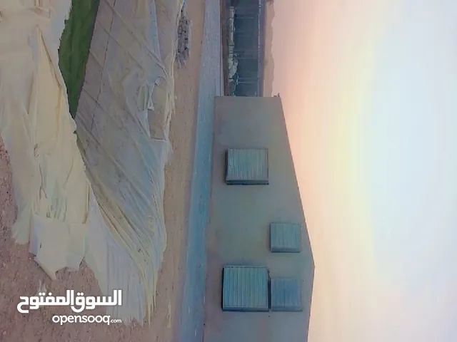 More than 6 bedrooms Farms for Sale in Al Ain Sweihan