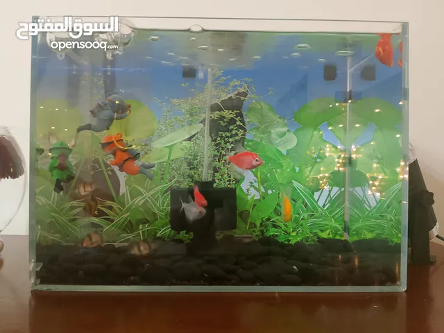 حوض سمك للبيع بسعر مغري