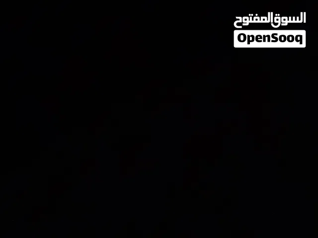 مطلوب جوز ارانب الماني اصفر سلاله صافيه
