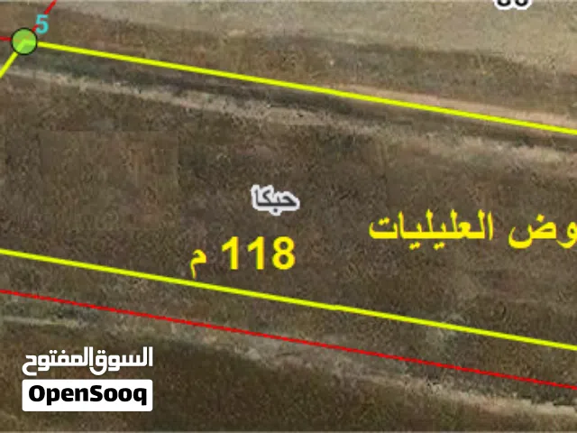 Farm Land for Sale in Irbid Aydoun