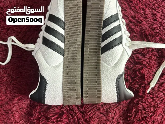 اديداس سامبا