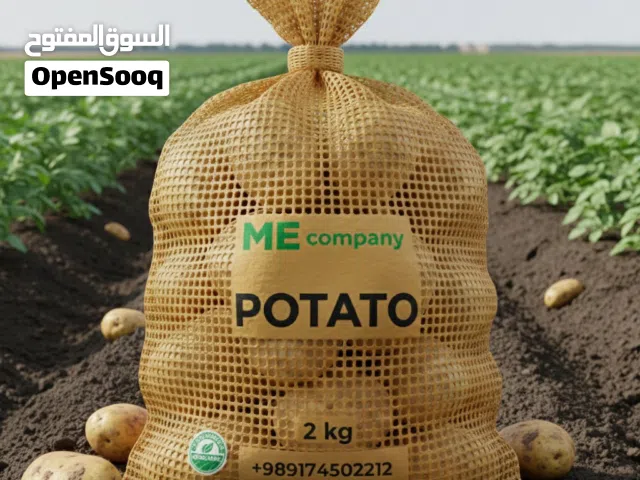 بطاطس طازجة عالية الجودة للبيع جملة – توصيل الإمارات وإيران