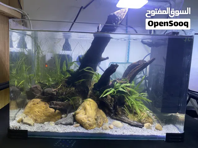 FISH TANK 40x25x20cm