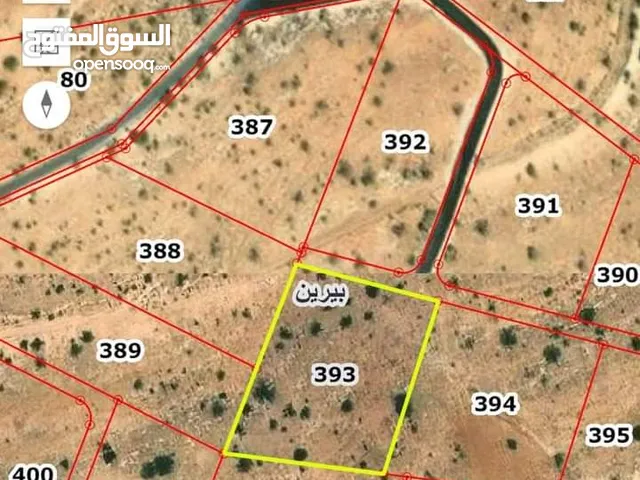 لقطه لقطه قطعة أرض 3 دونم و 400 متر بسعر بلاااش بأجمل مناطق بيرين