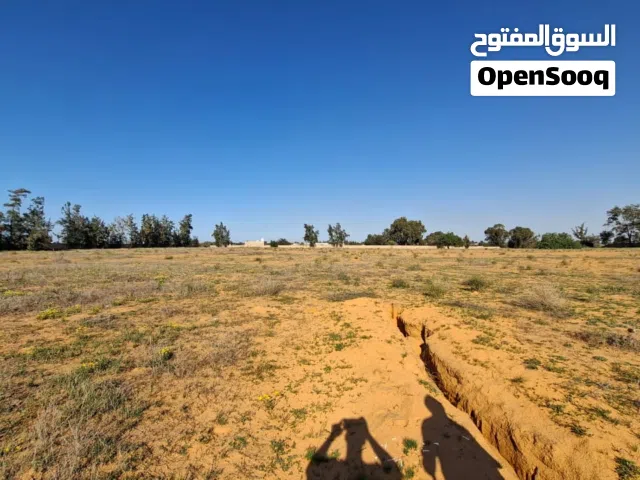 قطعتين للبيع في وادي ربيع