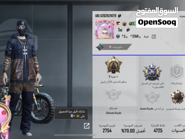 Pubg Accounts and Characters for Sale in Zarqa