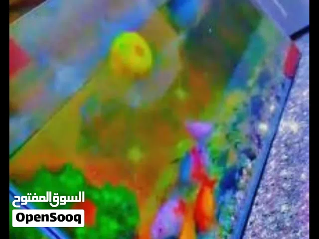 حوض سمك للبيع