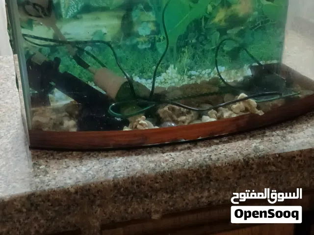 حوض سمك بحالة جيده للبيع
