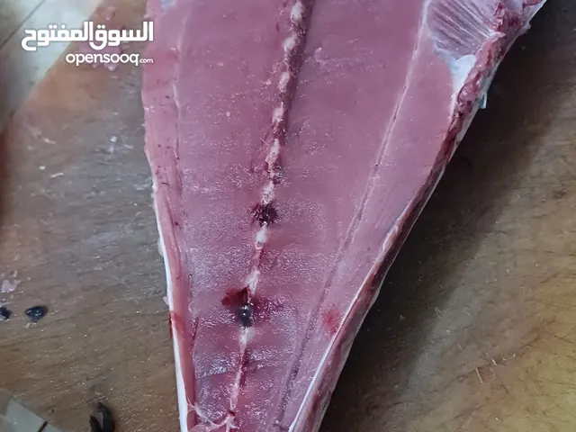 سمك جيذر طازج