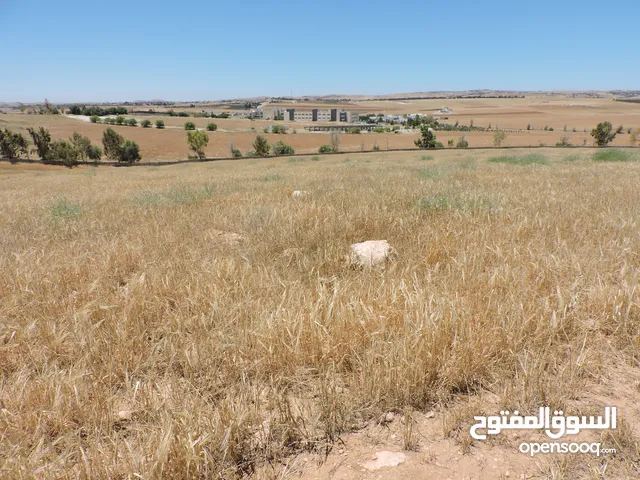 Farm Land for Sale in Madaba Umm Al Amad