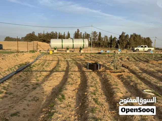 Farm Land for Sale in Amman Dab'a