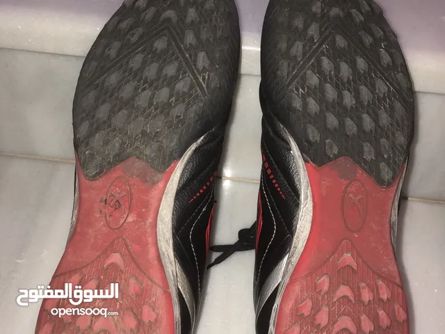 43 Sport Shoes in Amman