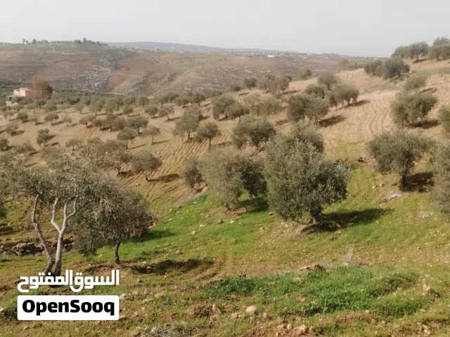 Farm Land for Sale in Salt Other