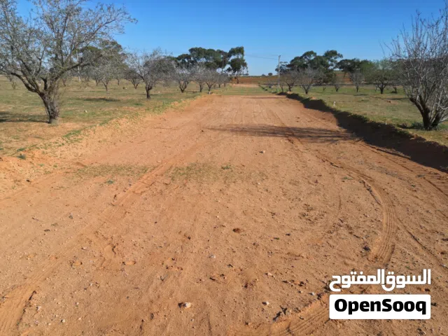 عرض استثماري وسكني أرض سكنية تبارك الرحمن وبمواصفات مميزة علي الطريق الرئيسي مباشرتا مساحتها 1هكتار